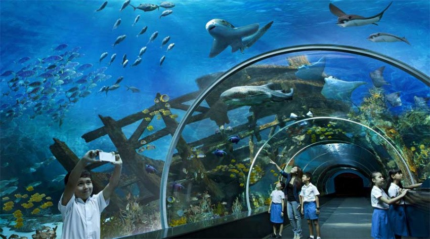 thuy-cung-underwater-world-singapore-1700550141.jpg