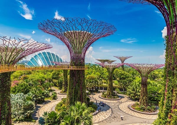 kinh-nghiem-du-lich-garden-by-the-bay-singapore-supertree-grove-1703758713.jpg