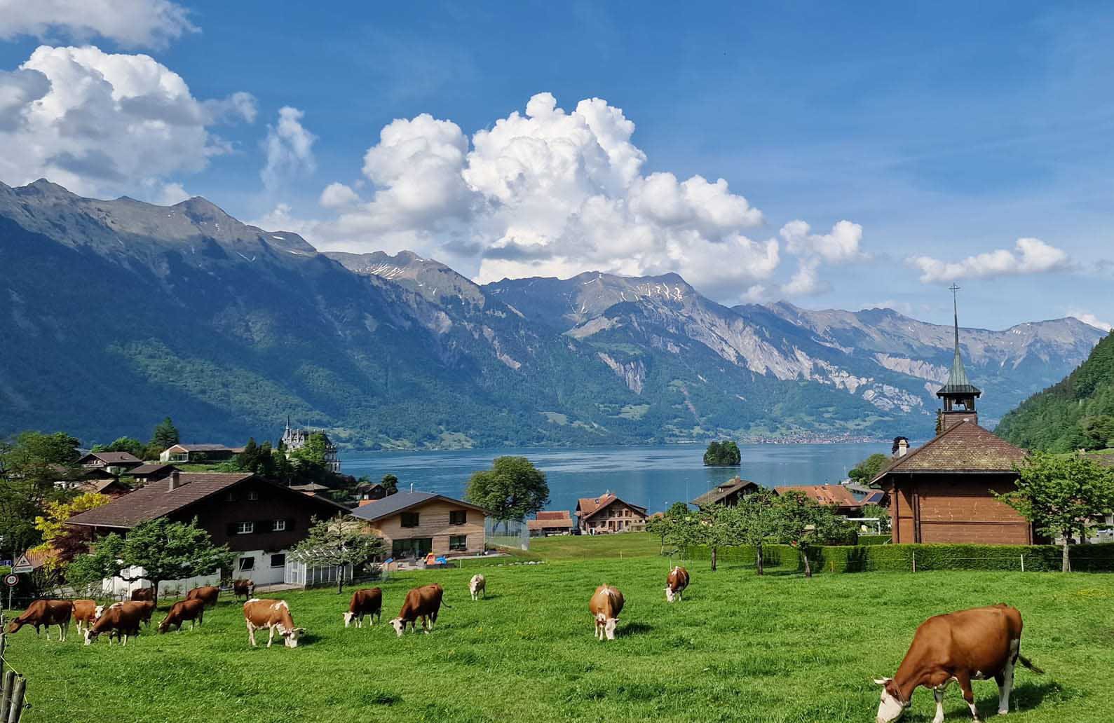 ho-brienz-1709189454.jpg