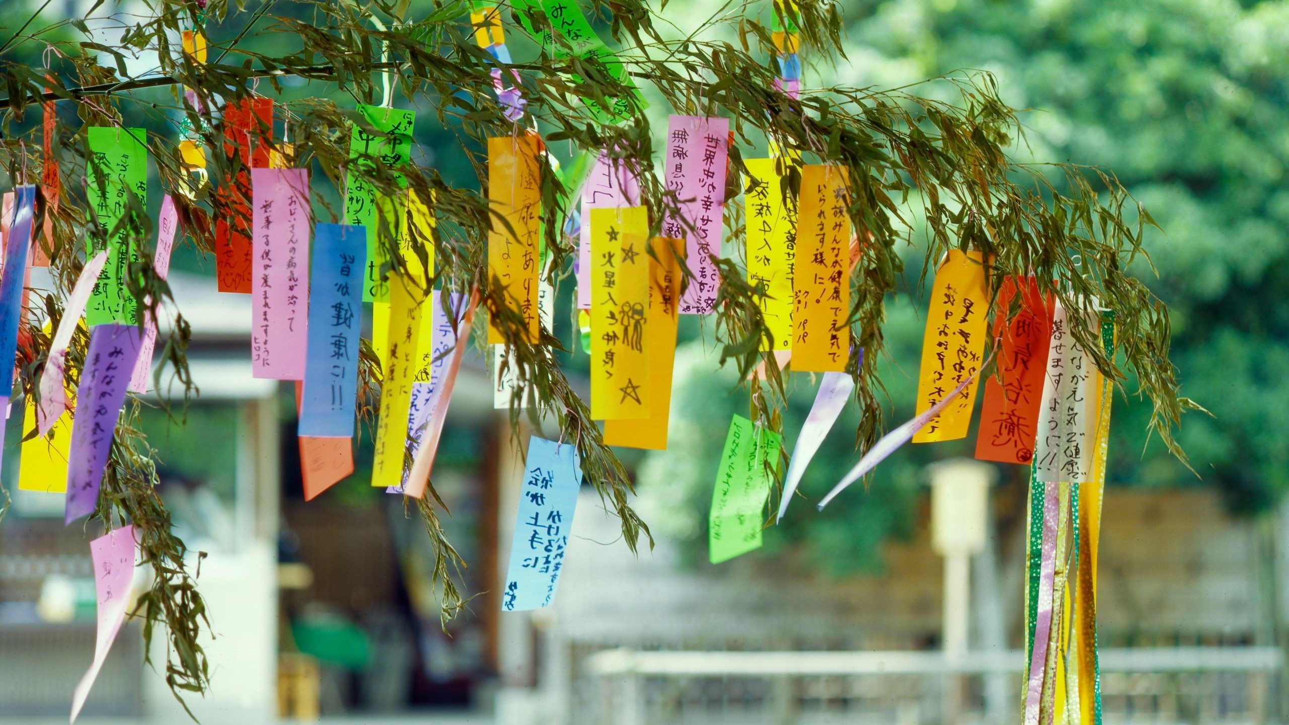 le-hoi-tanabata-nhat-ban-1716802494.jpeg