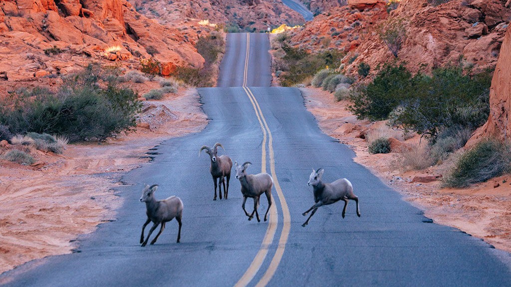 valley-of-fire-4-1718770825.jpg