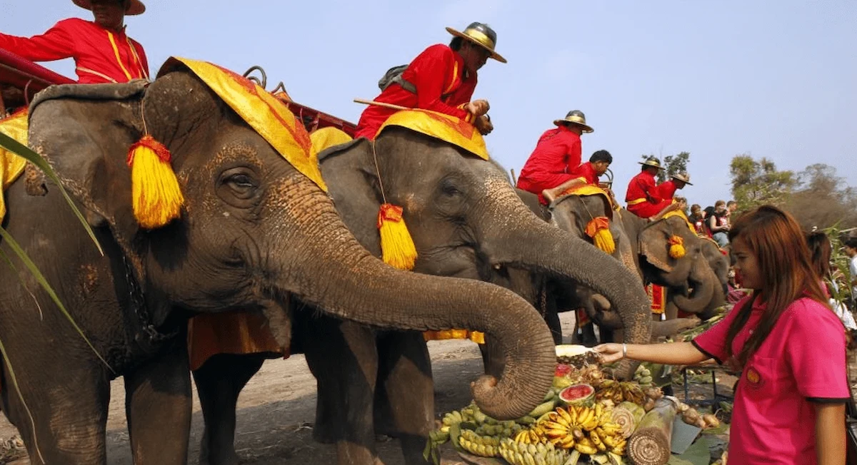 Lễ hội Surin là cơ hội để người dân thể hiện văn hóa qua diễu hành và biểu diễn nghệ thuật.