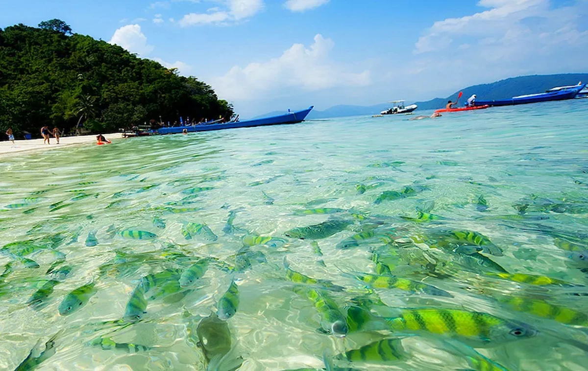 Phuket sở hữ cho mình làn nước trong xanh, cá bơi tung tăng.