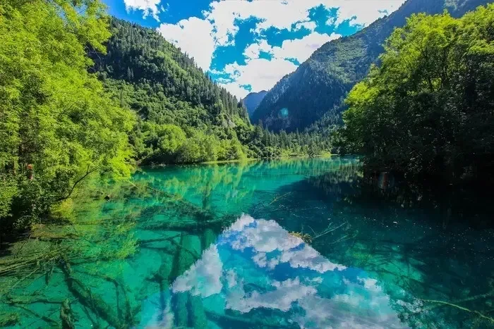 Rừng nguyên sinh tự nhiên