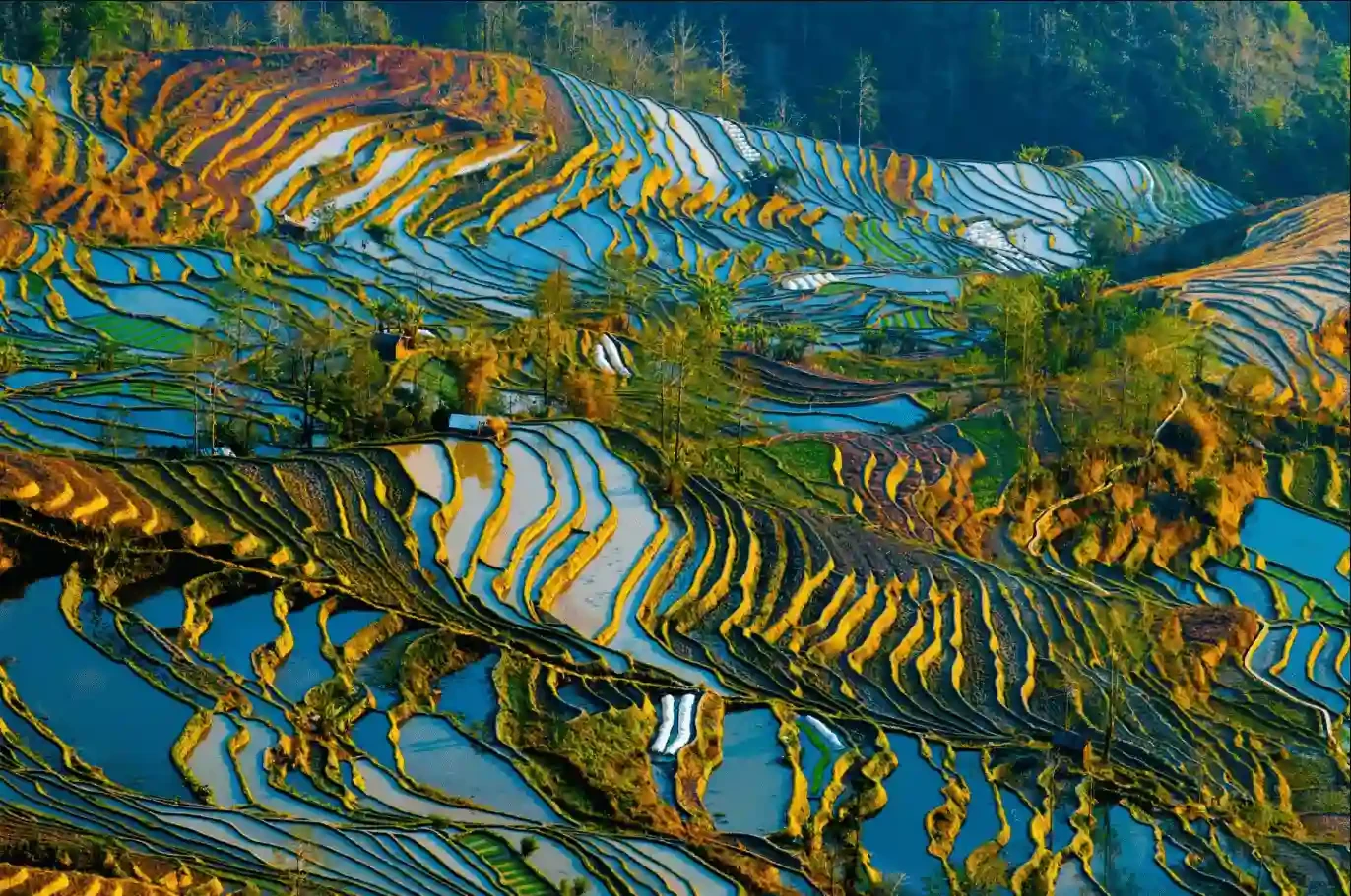Ruộng bậc thang Yuanyang
