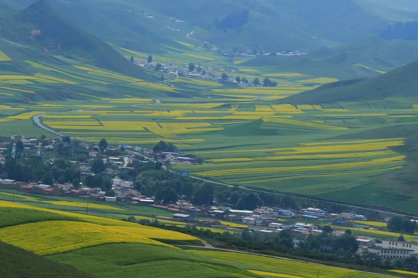Vùng thảo nguyên núi Qilian