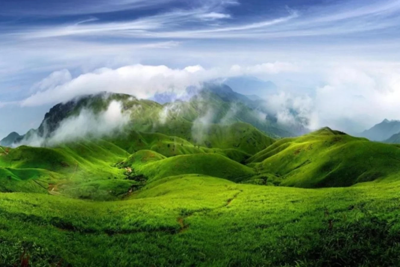 Thảo nguyên Trung Quốc Alpine