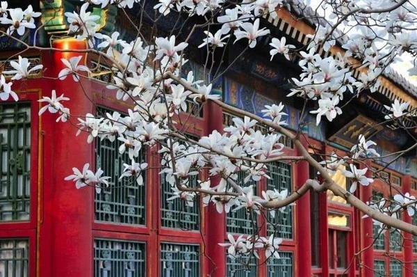 Lạc Thọ Đường