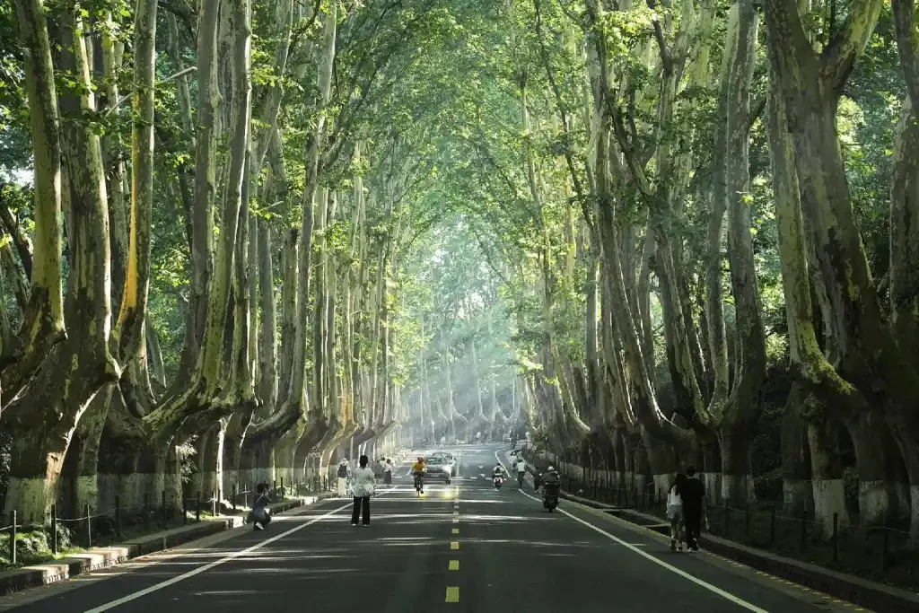 Đại lộ Nam Kinh
