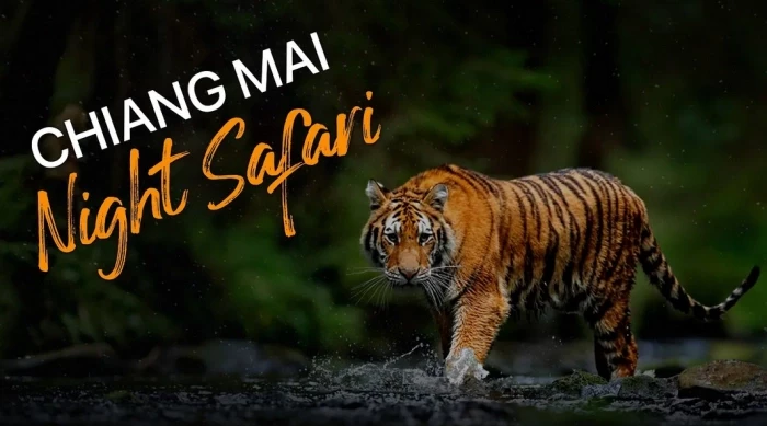 Chiang Mai Night Safari