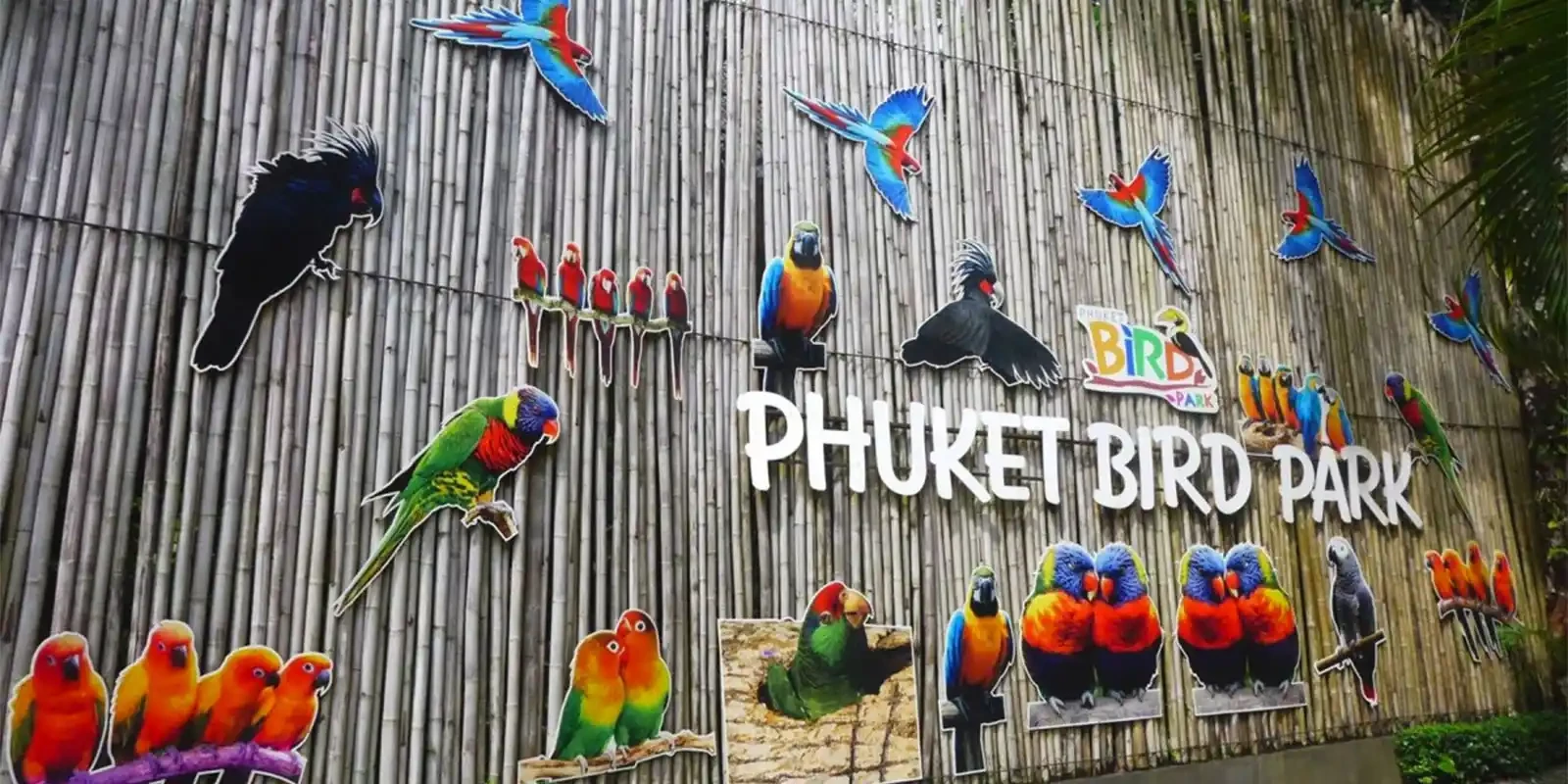 Phuket Bird Park