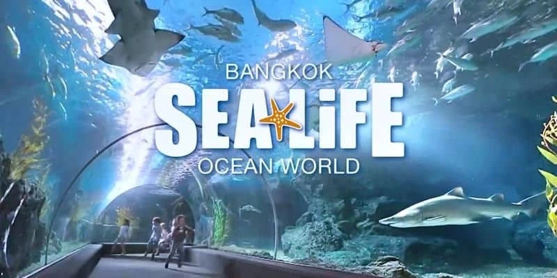 Thuỷ cung SEA LIFE Bangkok Ocean World