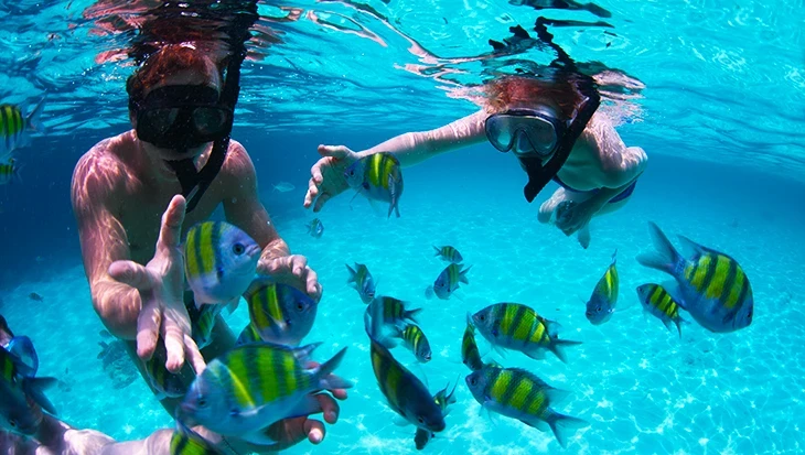 Lặn biển và snorkeling tại vịnh Maya
