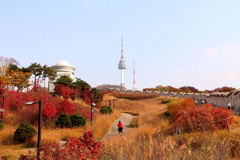 Con đường dẫn lên tháp Namsan