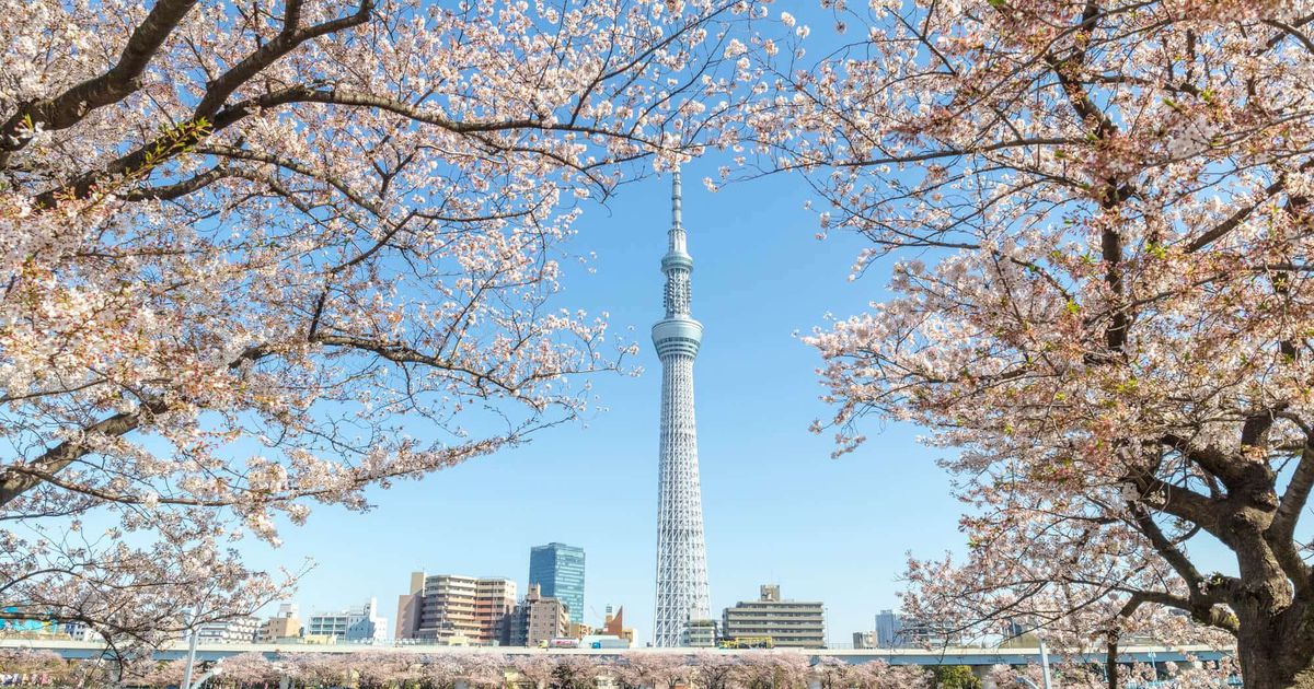 Tháp Tokyo Skytree - Khám phá tòa Tháp Truyền hình cao nhất Thế giới