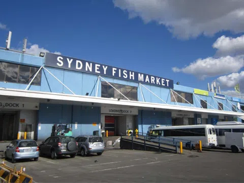 Thưởng thức hải sản tươi sống tại Chợ cá Sydney