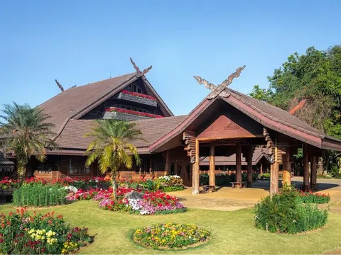 Đồi Doi Tung (Chiang Rai, Thái Lan): Điểm Đến Thú Vị Tại Thái Lan