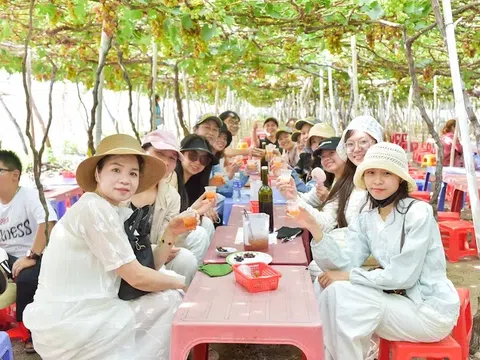 ĐOÀN TRƯỜNG MẦM NON DU SINH – 2N1Đ HÀNH TRÌNH HÀNH HƯƠNG & GẮN KẾT YÊU THƯƠNG TẠI VỊNH VĨNH HY