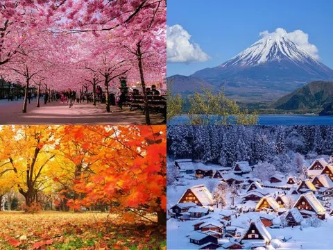 Du lịch Nhật Bản mùa nào đẹp? - Tận hưởng sắc hoa đầy màu sắc và trải nghiệm độc đáo 