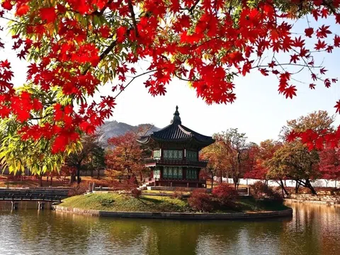 Mùa lá đỏ Hàn Quốc - Khung cảnh lãng mạn và thơ mộng ở xứ Hàn 