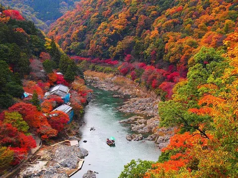 Bỏ túi 10 địa điểm ngắm mùa lá đỏ Nhật Bản đẹp nhất mà bạn không nên bỏ qua 