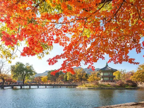 Du lịch mùa thu Hàn Quốc như những thước phim thơ mộng ngoài đời thực