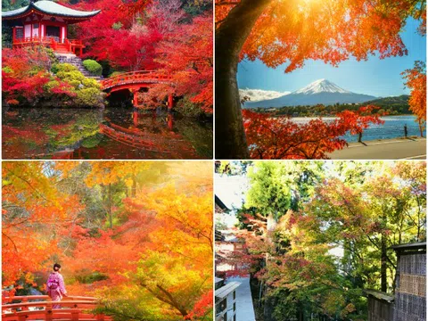 Những điểm đến không thể bỏ qua khi du lịch Nhật Bản tháng 9