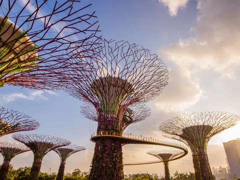Khám phá Gardens By The Bay - Khu vườn đa sắc màu ở Singapore 