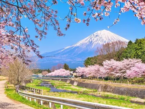 Du lịch Nhật Bản mùa hoa anh đào có gì đặc sắc?
