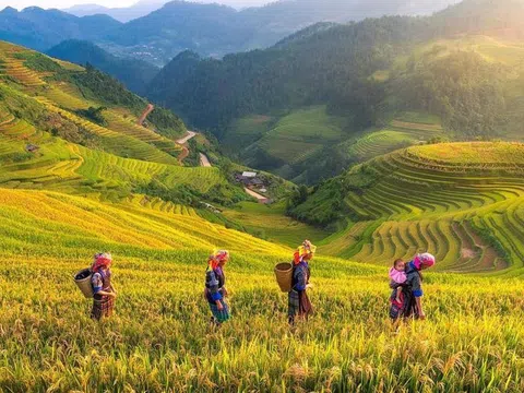 Du lịch Yên Bái - Điểm đến lý tưởng cho du lịch sinh thái ở Miền Bắc Việt Nam
