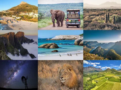 Du lịch Nam Phi: Hành trình trải nghiệm sự hoang dã kỳ thú