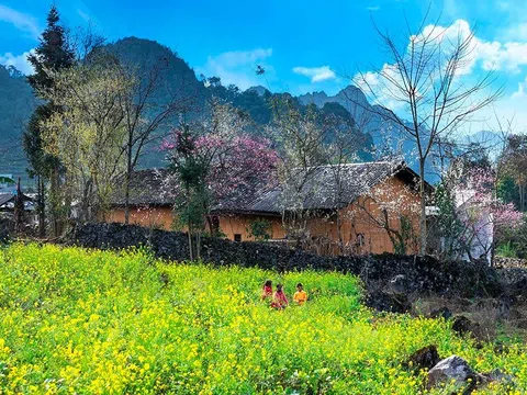 TOUR ĐÔNG TÂY BẮC 5N4Đ | HÀ NỘI – HÀ GIANG - ĐÈO MÃ PÍ LÈNG - SÔNG NHO QUẾ - LÀNG VĂN HOÁ PẢ VI - SAPA - FANSIPAN