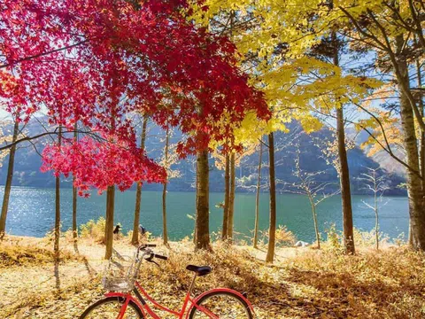 Vì sao nên du lịch Hàn Quốc vào mùa thu