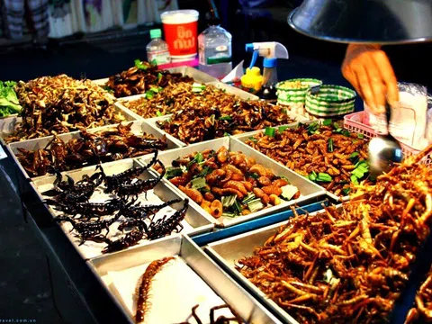 Du lịch Thái Lan - Chợ đêm Talad Rot Fai